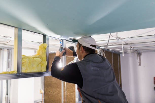 Best Insulation Replacement Services  in Winnsboro, SC
