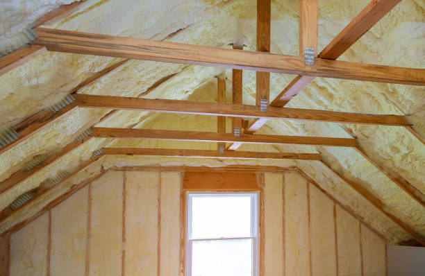 Best Insulation Contractor Near Me  in Winnsboro, SC