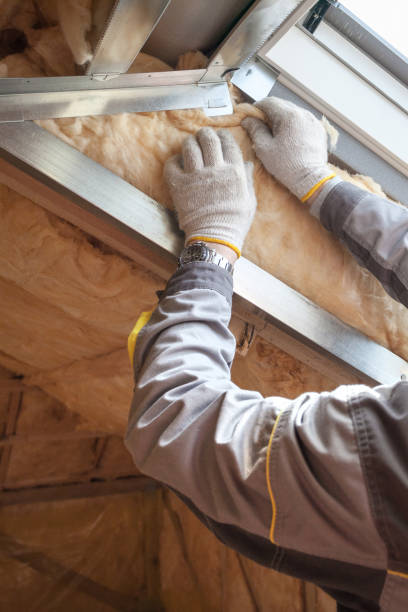 Best Insulation Repair Services  in Winnsboro, SC