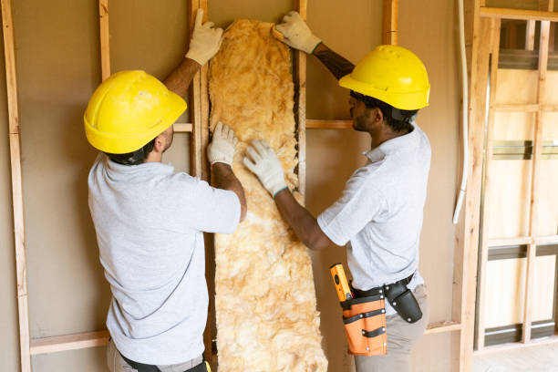 Best Best Insulation Companies  in Winnsboro, SC