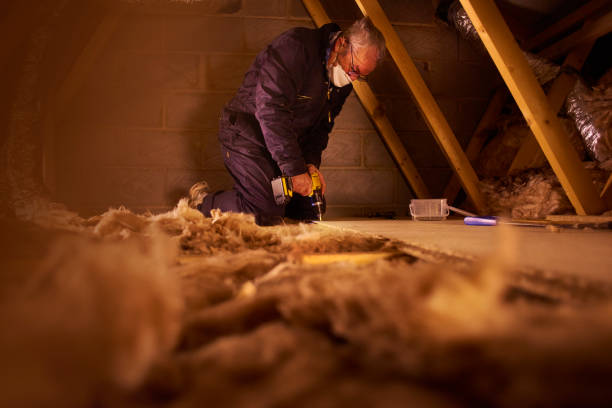 Best Fiberglass Insulation  in Winnsboro, SC